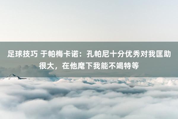 足球技巧 于帕梅卡诺：孔帕尼十分优秀对我匡助很大，在他麾下我能不竭特等