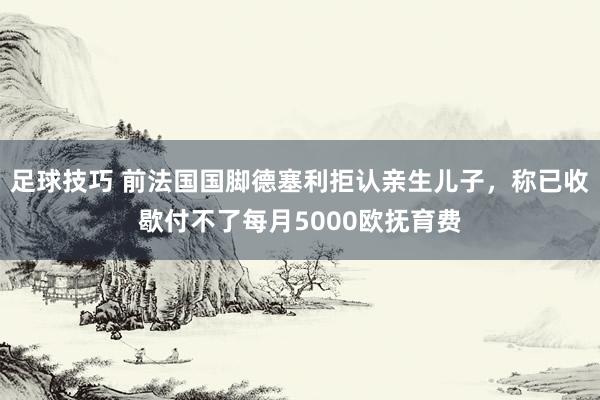 足球技巧 前法国国脚德塞利拒认亲生儿子，称已收歇付不了每月5000欧抚育费