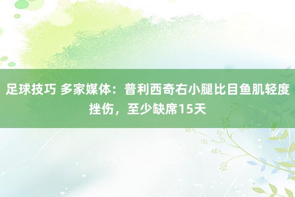 足球技巧 多家媒体：普利西奇右小腿比目鱼肌轻度挫伤，至少缺席15天