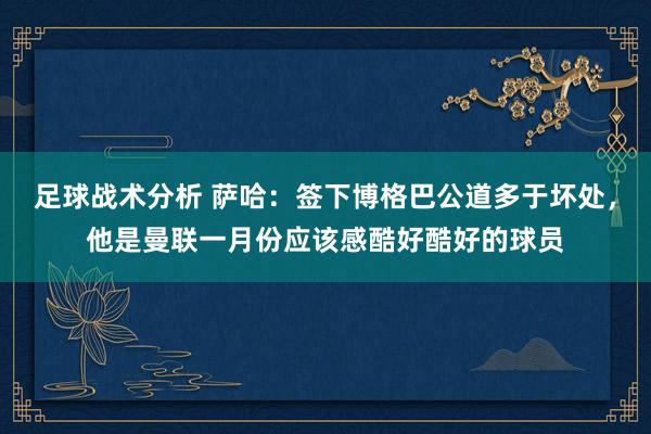 足球战术分析 萨哈：签下博格巴公道多于坏处，他是曼联一月份应该感酷好酷好的球员