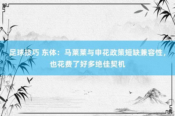 足球技巧 东体：马莱莱与申花政策短缺兼容性，也花费了好多绝佳契机