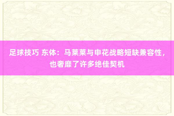 足球技巧 东体：马莱莱与申花战略短缺兼容性，也奢靡了许多绝佳