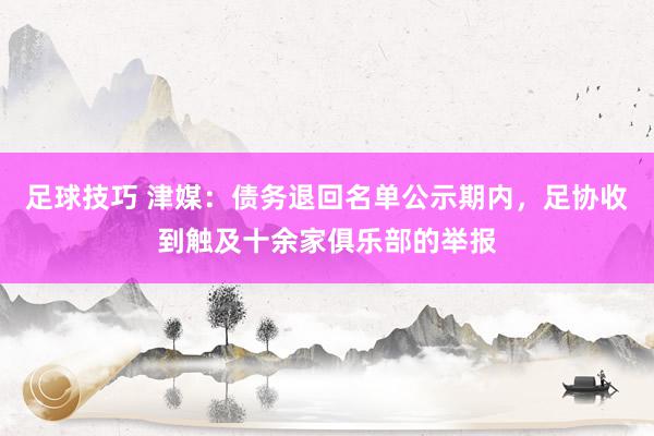 足球技巧 津媒：债务退回名单公示期内，足协收到触及十余家俱乐部的举报