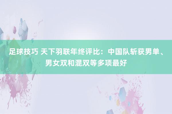 足球技巧 天下羽联年终评比：中国队斩获男单、男女双和混双等多